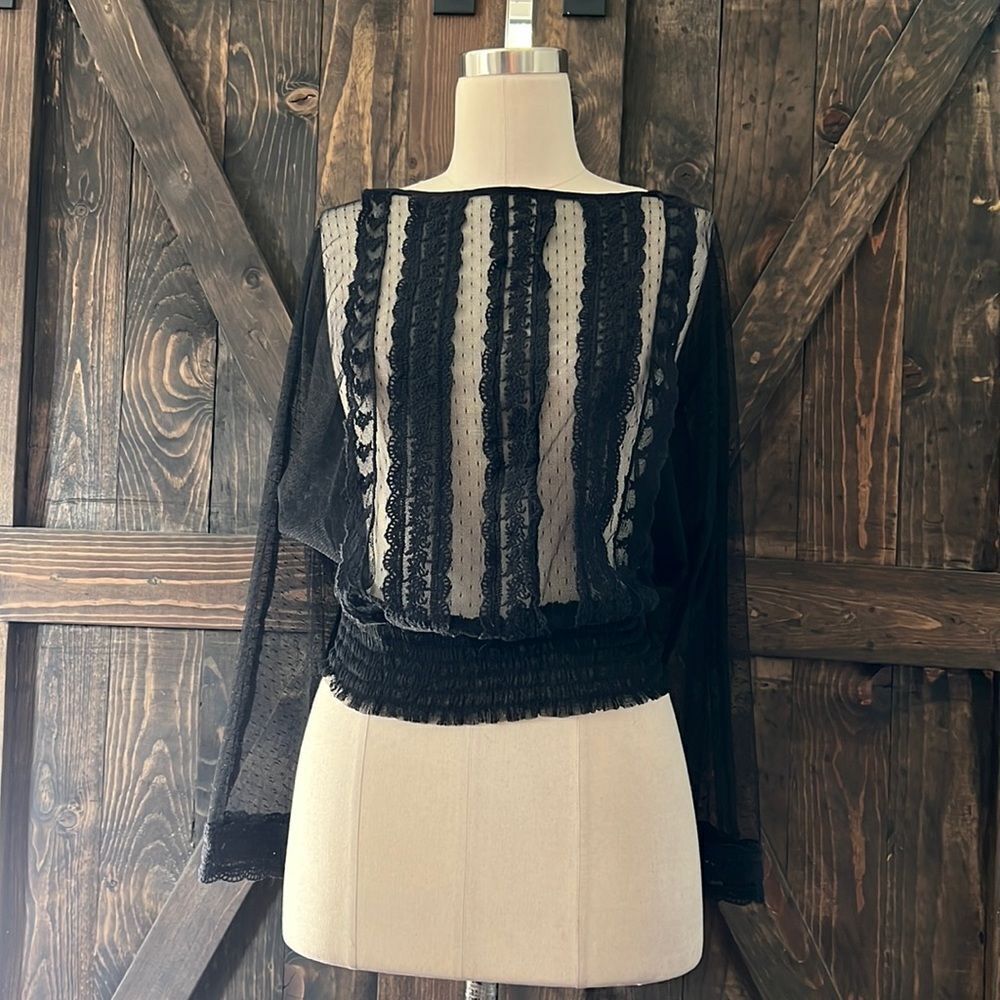 ZARA Black Sheer Blouse
